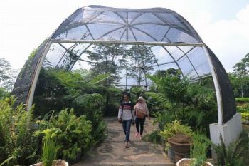 Kebun Raya Indrokilo
