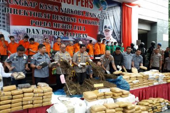 Ladang ganja di perbatasan Sumbar-Sumut: diperkirakan hasilkan 60 ton ganja