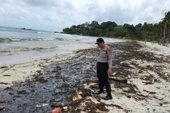 Delapan resort di Bintan  tercemar limbah minyak hitam