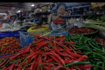 Harga cabai di Bali naik
