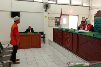 Penjual kera owa ungka melalui medsos divonis penjara