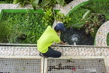 Upaya rehabilitasi sungai konsep Ekoparian