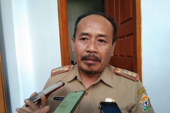 2019, Sultra cetak 750 hektare sawah baru
