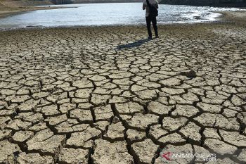 Kekeringan akibat pembalakan liar