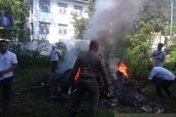 Ditemukan 1,9 ton ikan berformalin di pasaran Manggarai Barat