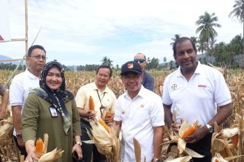 Bupati : Petani Sigi perlu perubahan paradigma dalam kegiatan bercocok tanam