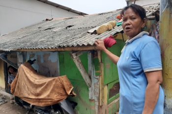 Adaptasi bersama atau tereliminasi
