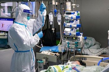 Kepala Lembaga Biologi: 2019-nCov jenis virus corona ke-7 menginfeksi manusia
