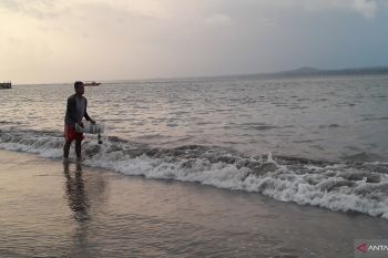 Petugas Bakamla TWNC lepaskan 30 ekor lobster ke laut