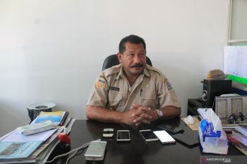 Pemkab segera distribusi bantuan kios untuk pedagang Papua
