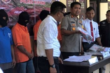 Polisi kembali tangkap empat tersangka pelaku pencurian ternak sapi