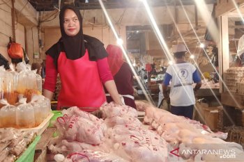 Harga daging ayam potong lokal di Pasar Youtefa Jayapura Rp65 ribu