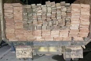 Polres Kotim Kalteng amankan truk bermuatan kayu ilegal di kebun sawit