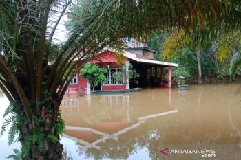 Air Sungai Batanghari mulai meluap