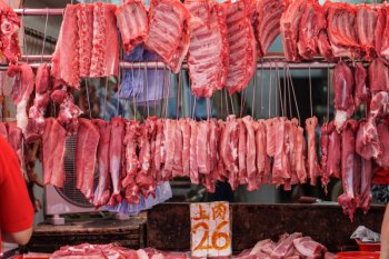 WHO ingatkan pasar basah harus higienis dan tidak boleh  jual satwa liar
