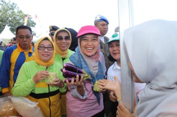 Nunik dorong Mesuji jadi kabupaten layak anak