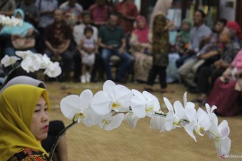 Perintah evakuasi WNI di Hubei hingga perayaan Imlek nasional