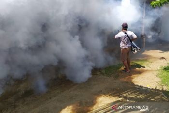Waspada DBD, selama Januari Dinkes Morowali Utara tangani 43 kasus