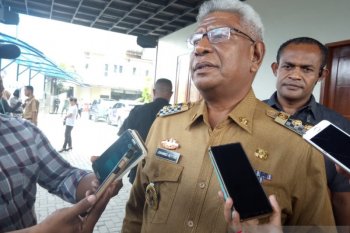 Citilink buka rute penerbangan Denpasar-Timika 31 Januari
