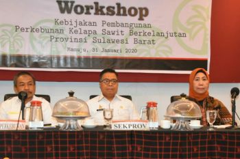 Sekprov dorong terciptanya satu data perkebunan kelapa sawit di Sulbar