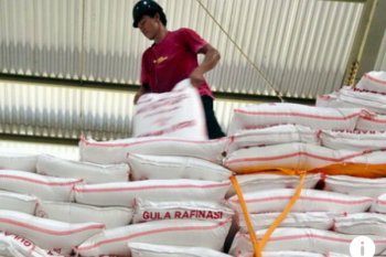 Pasokan gula rafinasi IKM terhenti sejak Desember 2019