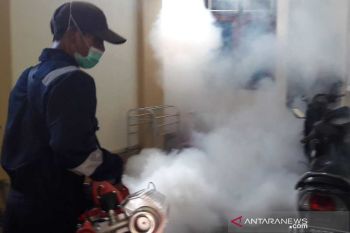 Dinkes:  Merebaknya DBD di Temanggung siklus lima tahunan