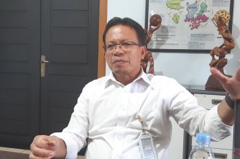 Bulog Sultra datangkan 6,5 ton daging beku