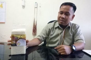 Persediaan beras Bulog Timika 1.400 ton cukup hingga Mei