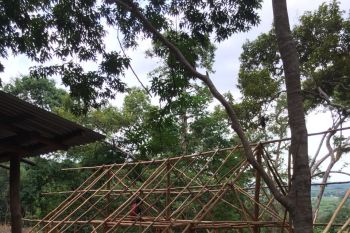 "Durian surga" itu  jatuhnya di Mentok