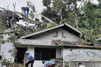 Rumah dan warung warga di Agam rusak parah tertimpa pohon akibat angin kencang