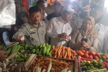 Mentan pastikan pasokan bawang putih cukup meski pemerintah hentikan impor
