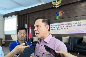 BPS: impor Sulteng sepanjang 2019 naik 314 juta dolar AS