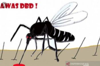 Dinkes Kolaka ingatkan waspada DBD