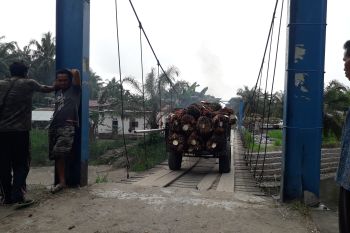 Berusia belasan tahun, warga Mahakarya Pasaman Barat berharap jembatan gantung diperbaiki (Video)