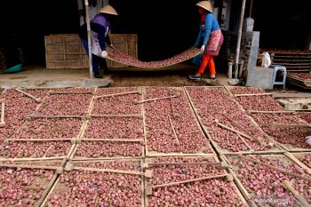1.129 perusahaan di Temanggung belum  daftarkan pekerja ke BPJAMSOSTEK