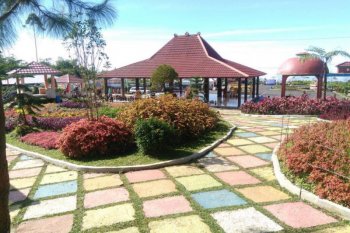 Wahana kebun stroberi bakal jadi andalan Desa Wisata Serang Purbalingga