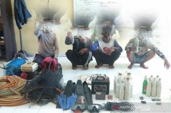 Polda Sulteng tangkap empat terduga pelaku bom ikan di Morowali