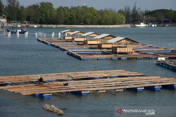 Pembangunan keramba jaring apung
