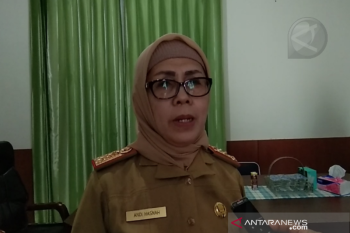 Dinkes Sulawesi Tenggara ingatkan masyarakat waspadai penyakit DBD