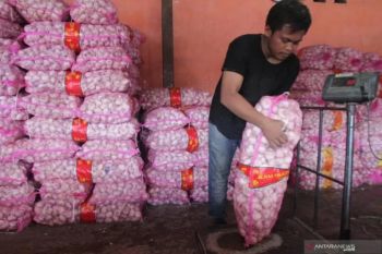 Alternatif impor bawang putih selain China