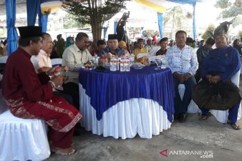 Bupati Meranti nyatakan maju sebagai cawagub di Pilkada Kepri