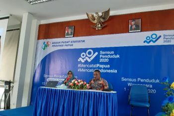 BPS: Produksi perusahaan kayu 2019 berdampak pada ekonomi di Papua