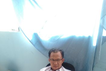 Dinas Pertanian Ogan Komering Ulu  bagikan 4.500 bibit pohon mangga