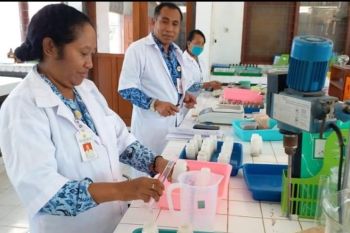 Produksi sumber pangan NTT 2019/2020 disebut alami penurunan