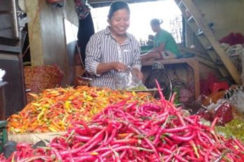 Kenaikan harga cabai merah picu inflasi di Kepri