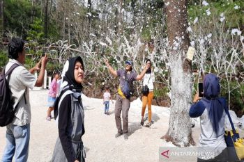 Unggulkan sektor pariwisata, Karanganyar targetkan kunjungan 3,5 juta wisatawan