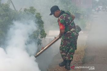 Dinkes Kalsel minta pemda tingkatkan kewaspadaan hadapi DBD