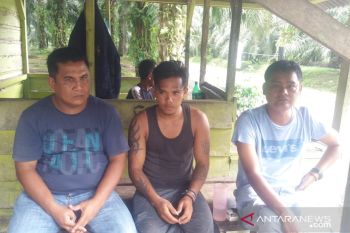 Sempat dikejar massa dan bujuk, pelaku pelecehan seksual di kebun sawit ini akhirnya dibekuk polisi