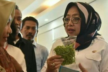 Wagub Sulbar minta penyuluh pertanian tingkatkan kinerja