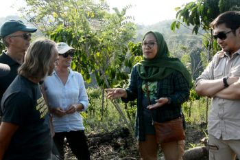 Rainforest Alliance bekerja sama dampingi kelola perhutanan sosial